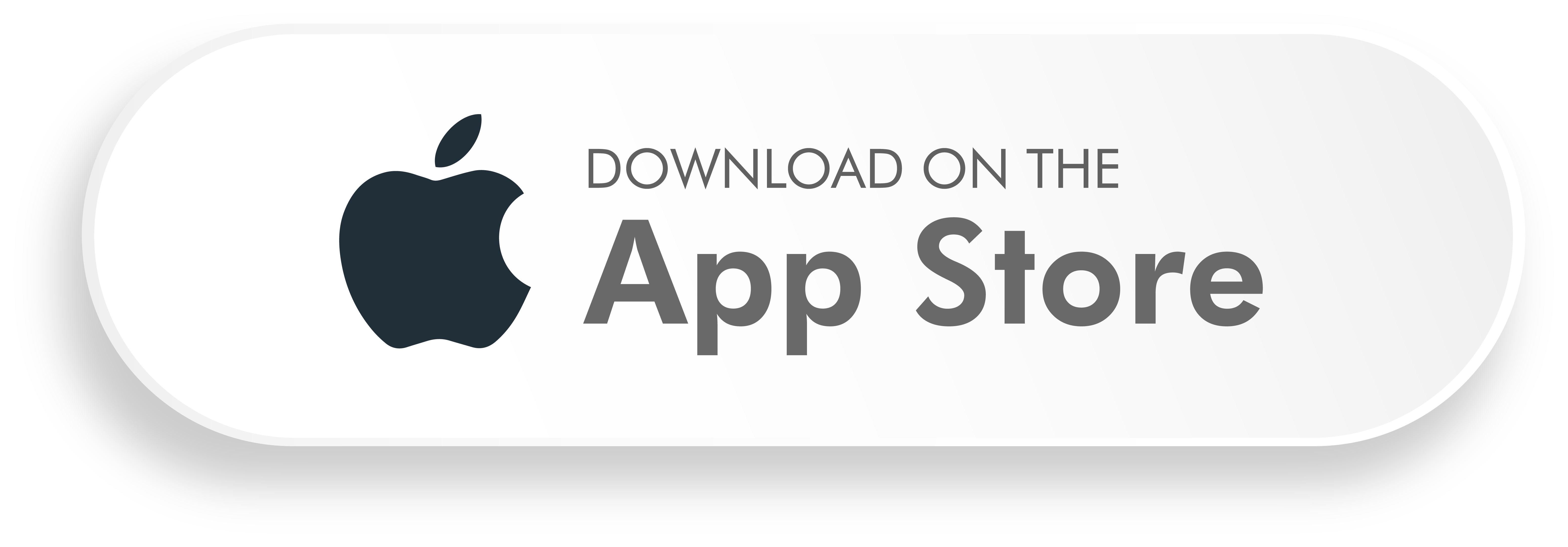 Apple App Store